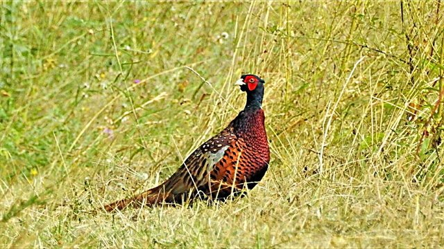 Csodálatos természet 05